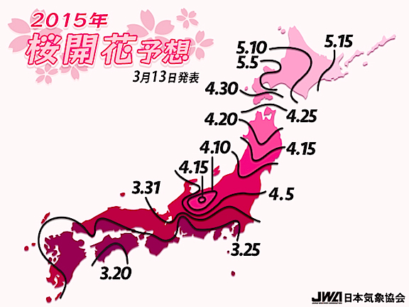 第4回桜開花予想