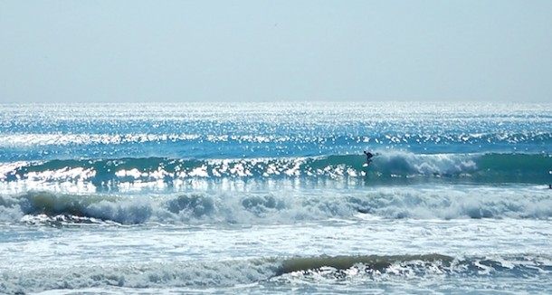 DSCN2654