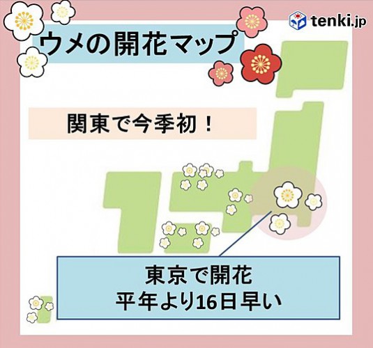 tenki_jp_62551_1-1